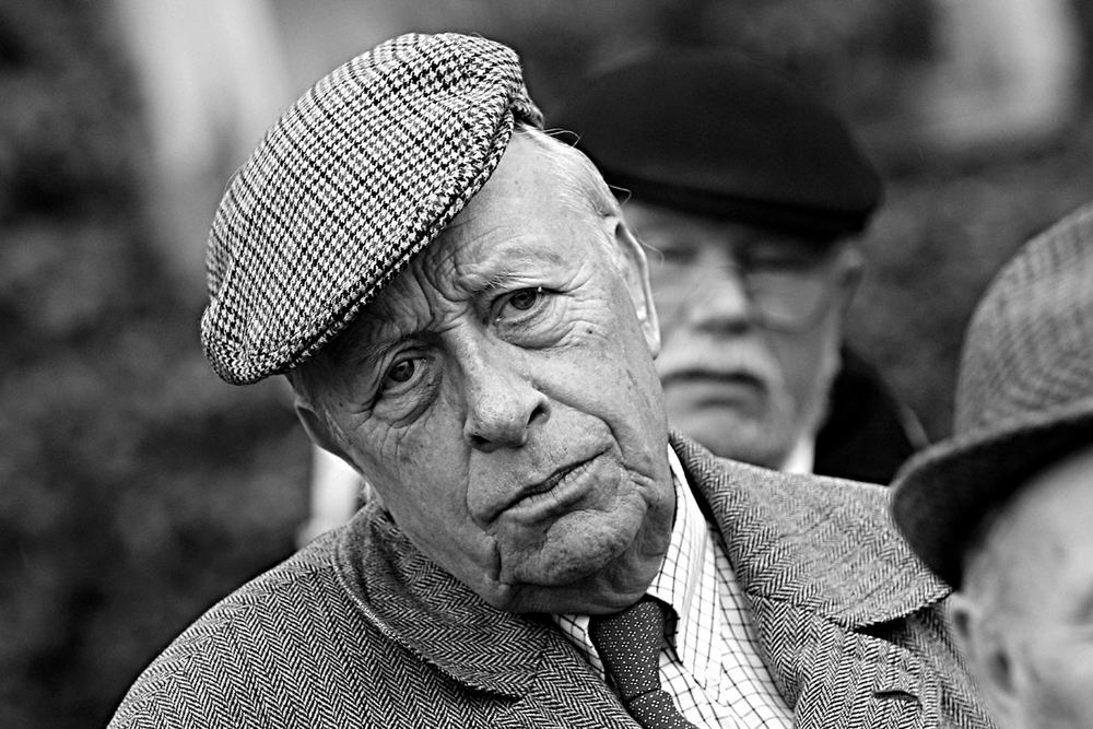 g nzel graf von der schulenburg Foto Bild g nzel graf von der schulenburg Foto Bild