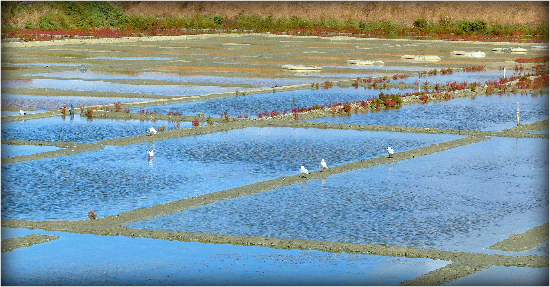 GUERANDE - 1 - 