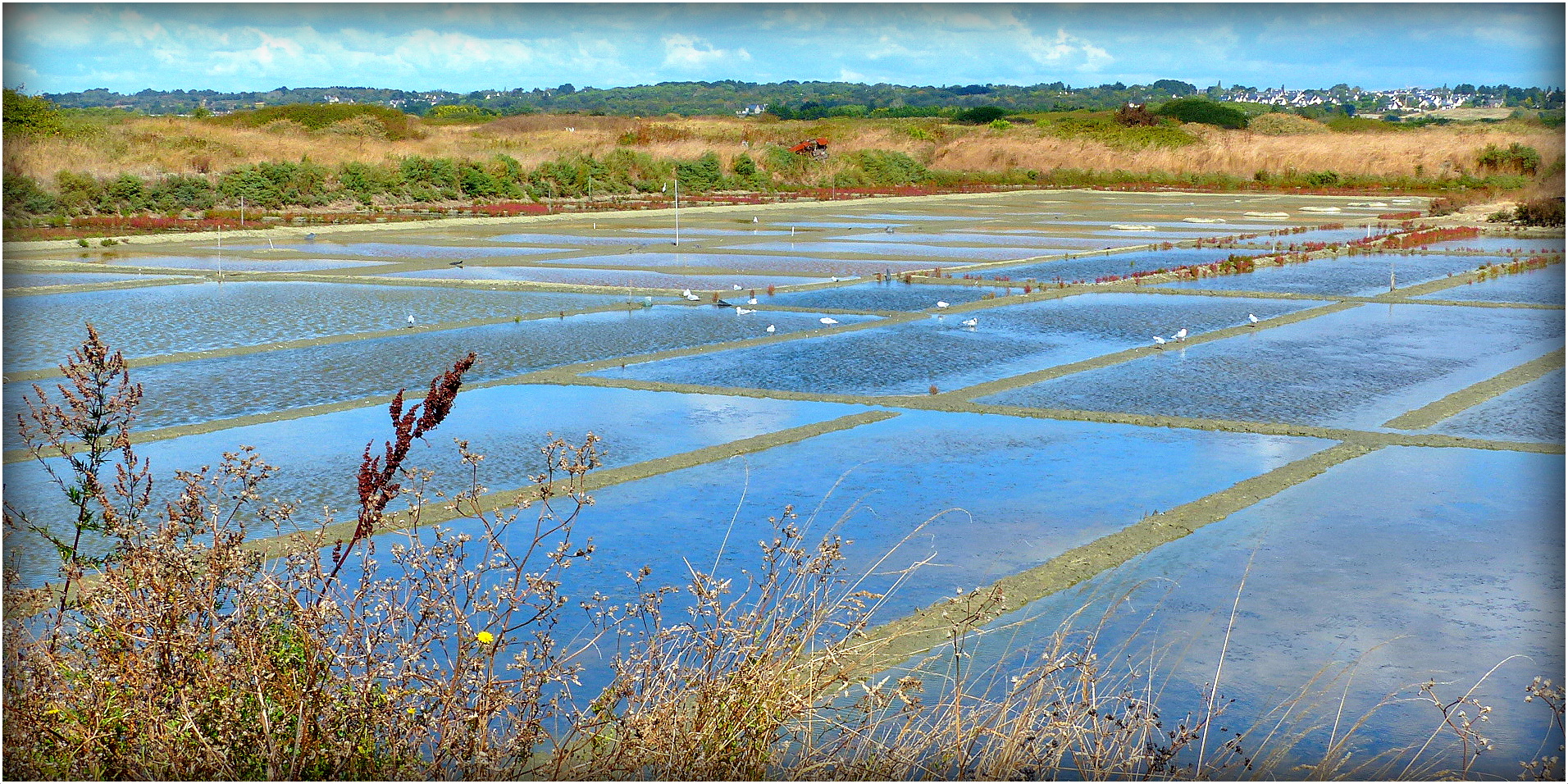 GUERANDE - 14 - 