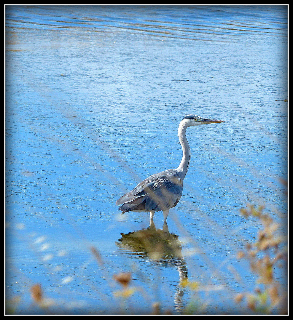 GUERANDE - 4 - 