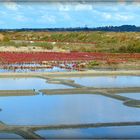 GUERANDE - 5 - 