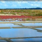 GUERANDE - 5 - 