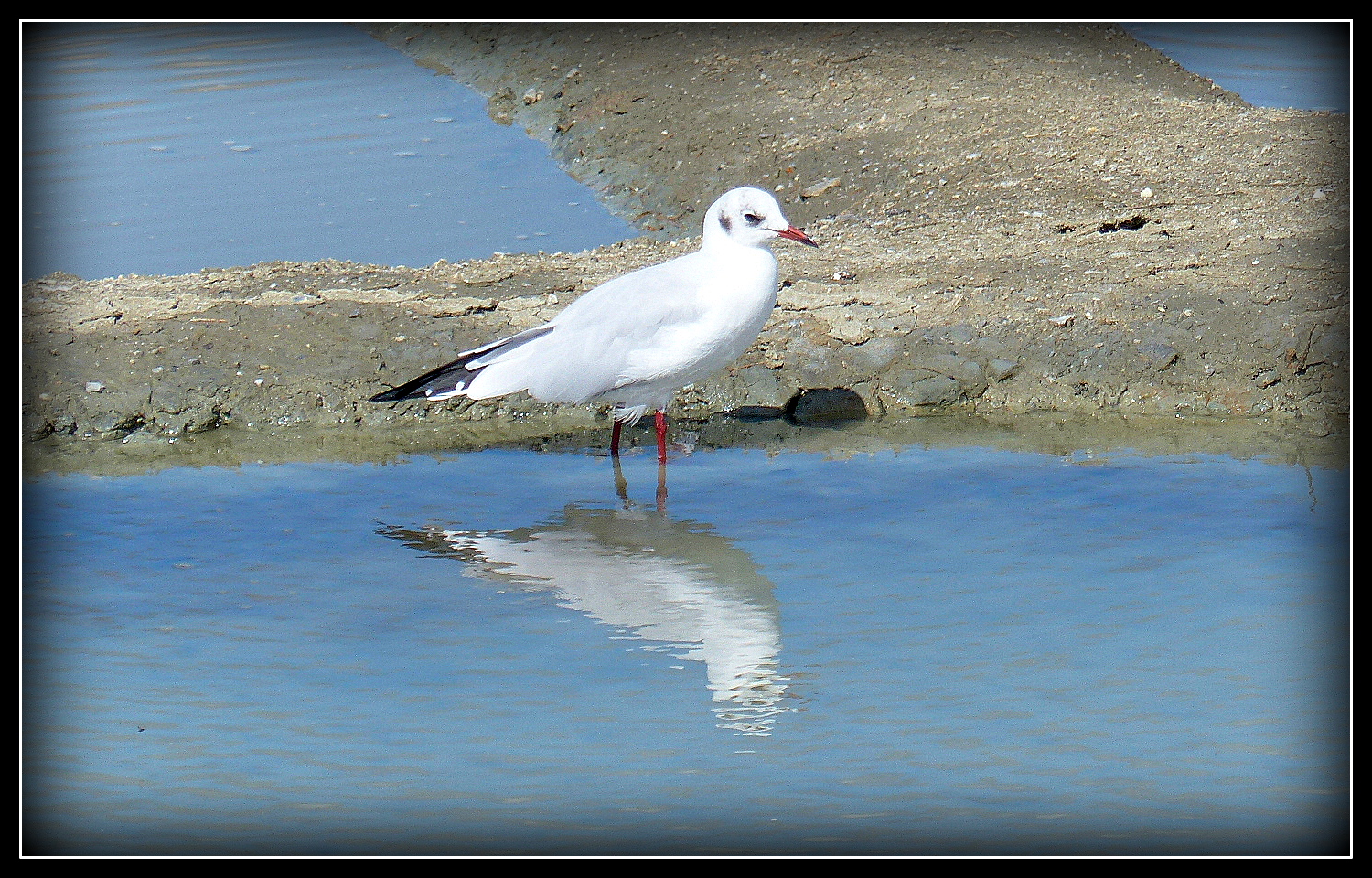 GUERANDE - 6 - 