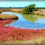 GUERANDE - 8 - 