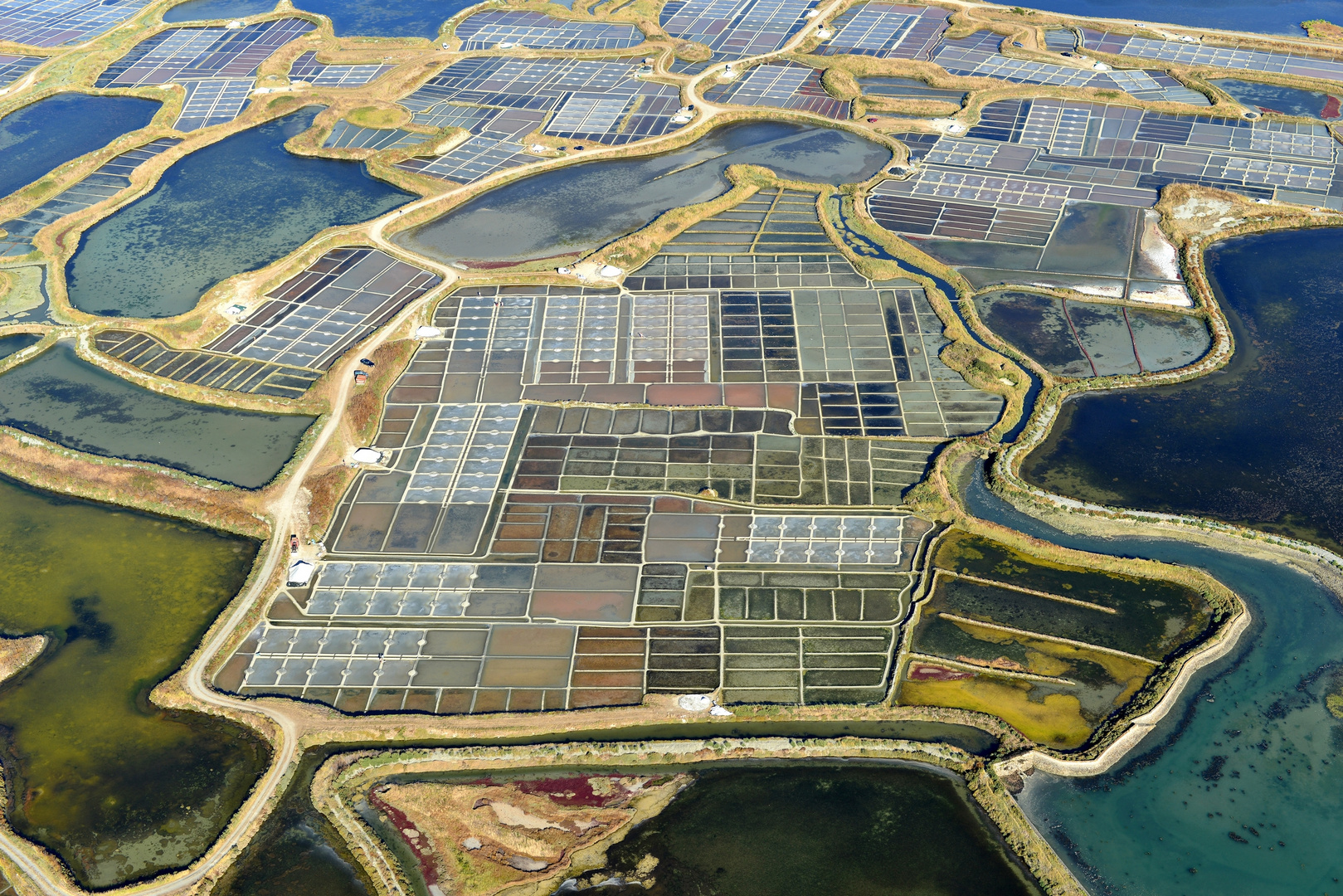 Guerande - la Turballe, Marais Salants