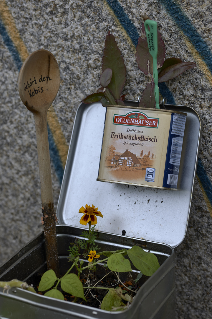 Guerilla Gardening