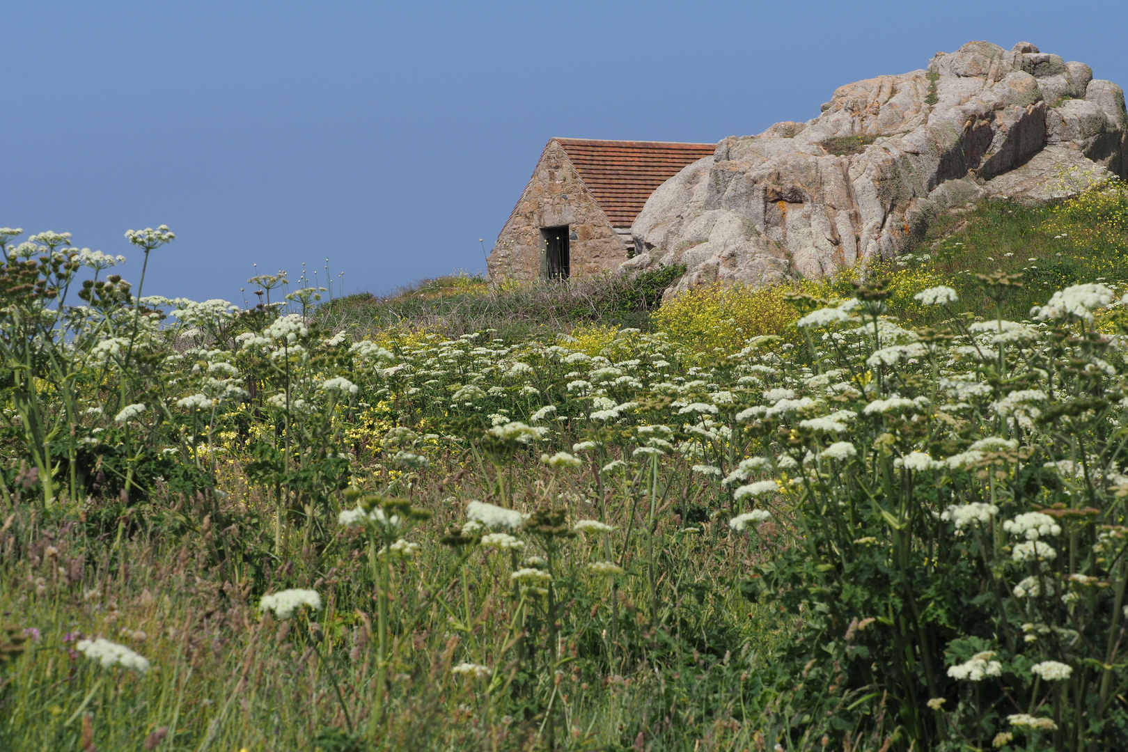 GUERNSEY Foto & Bild landschaft, motive, natur Bilder auf