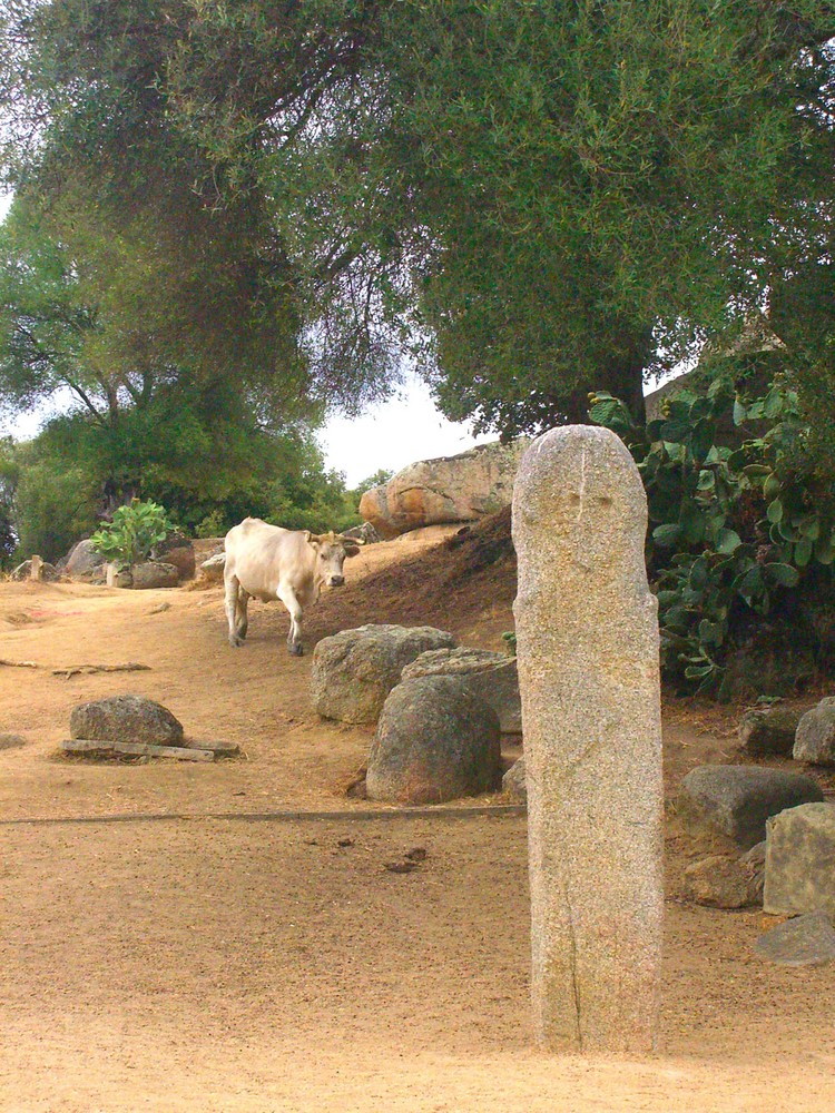 Guerrier en pierre de FILITOSA (Corse)