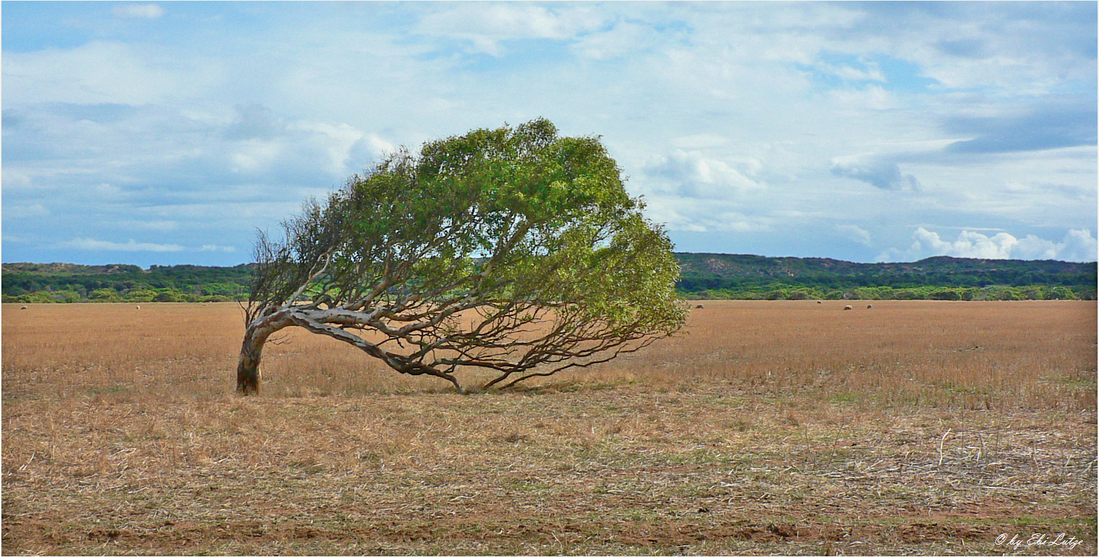 ** Guess where the Wind comes from **