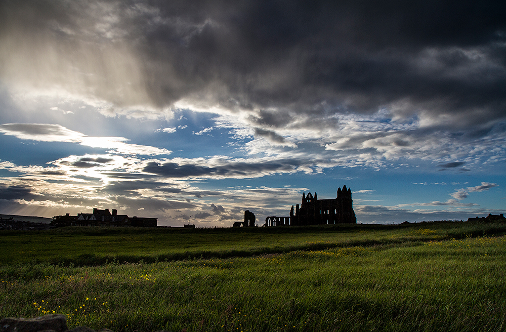 Guess where we played cricket this weekend ?