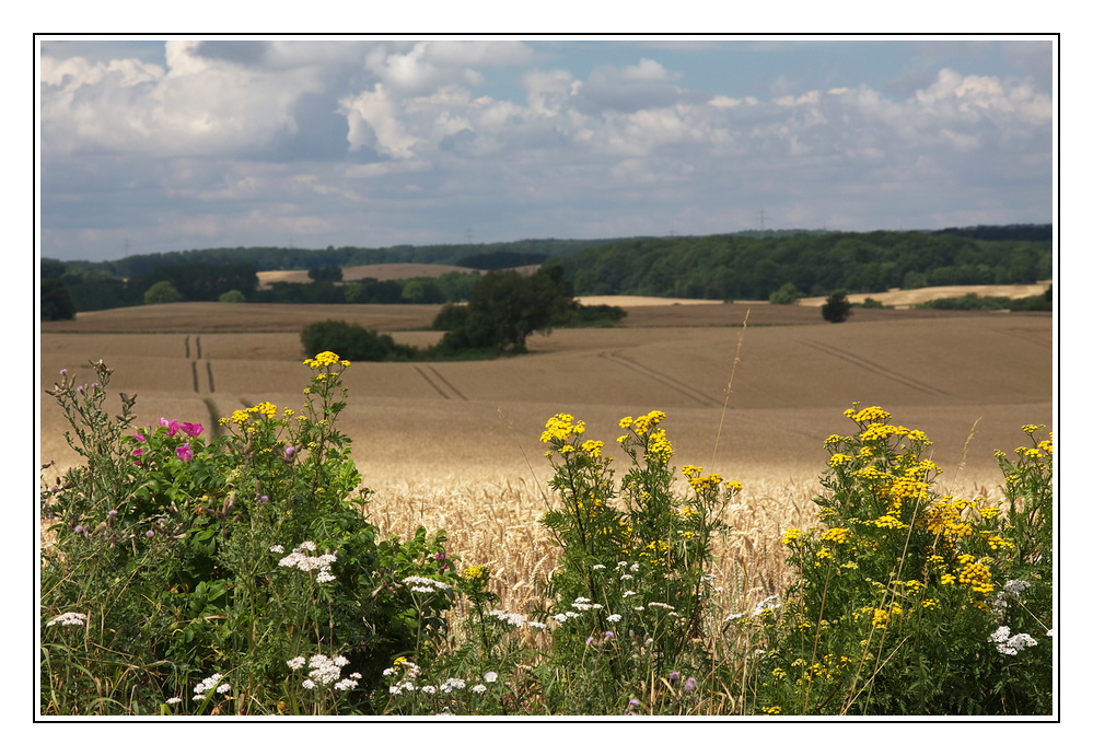 Güstrower Sommerland