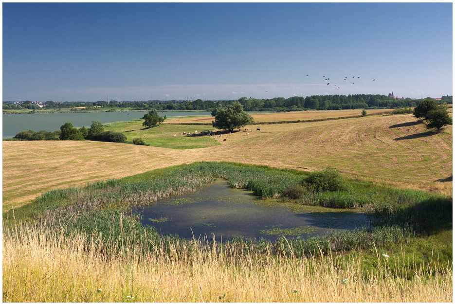 Güstrower Sumpfsee