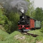 Güter auf die (Schmalspur)Bahn!