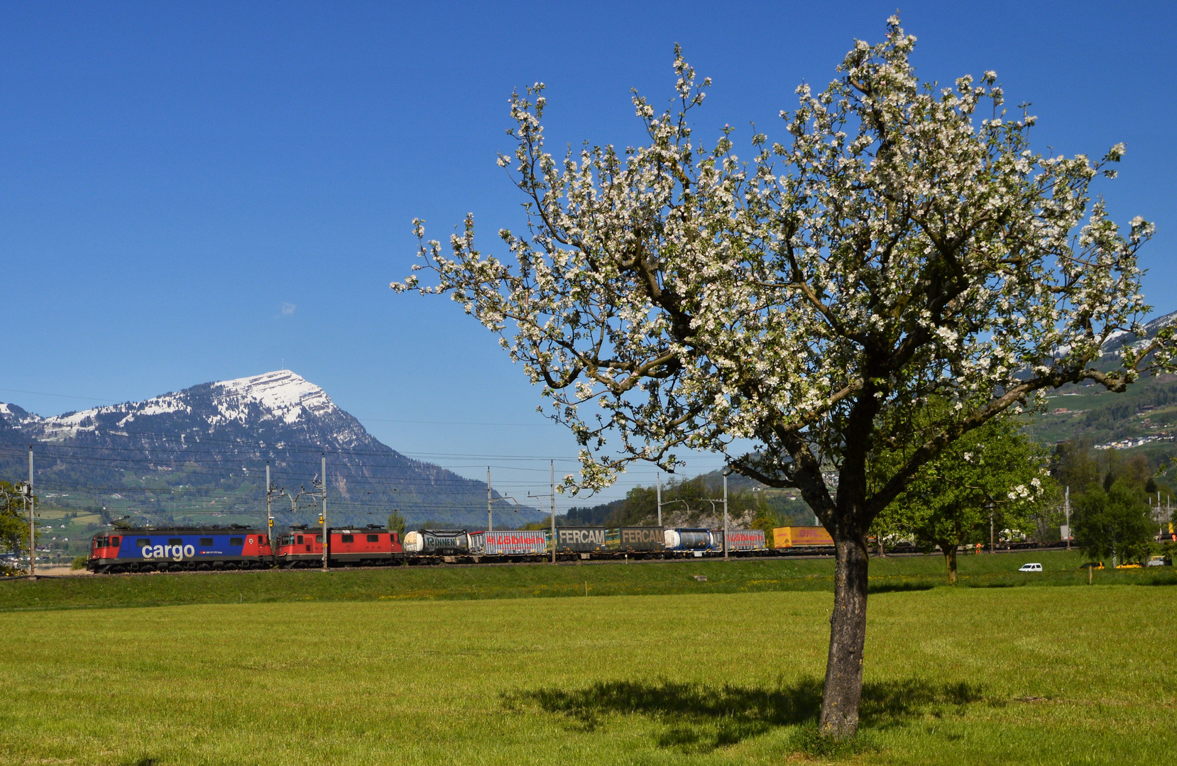 Güter unter der Rigi