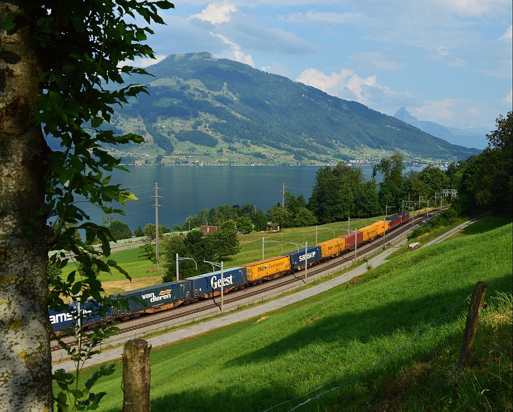 Güter zum Gotthard