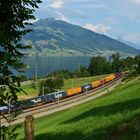 Güter zum Gotthard