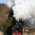 Güterdampf im Preßnitztal