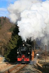 Güterdampf im Preßnitztal