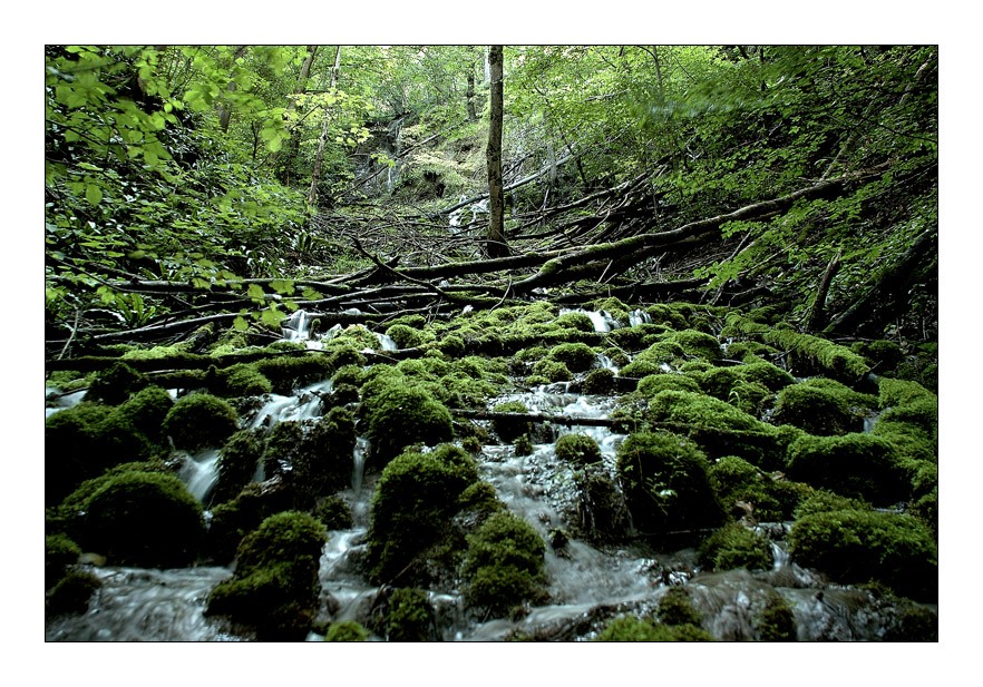 Gütersteiner Wasserfälle (Serie, Part 2)