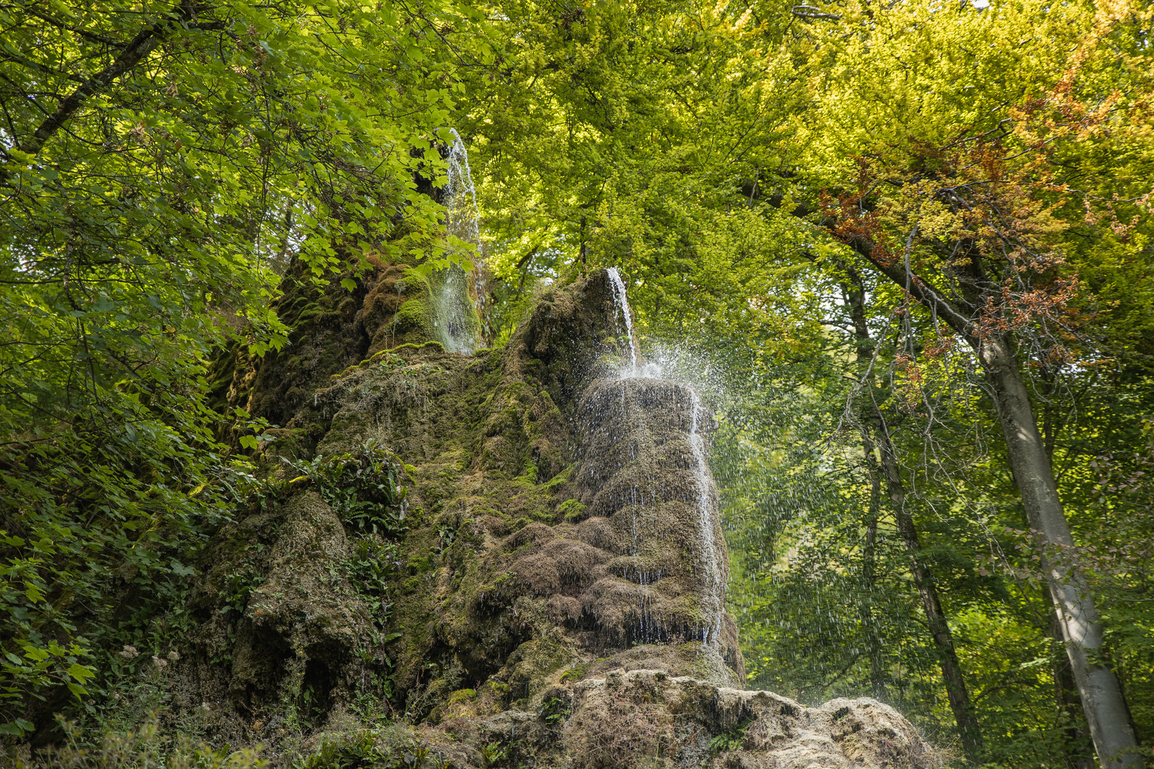 Gütersteiner Wasserfall 1, BW 