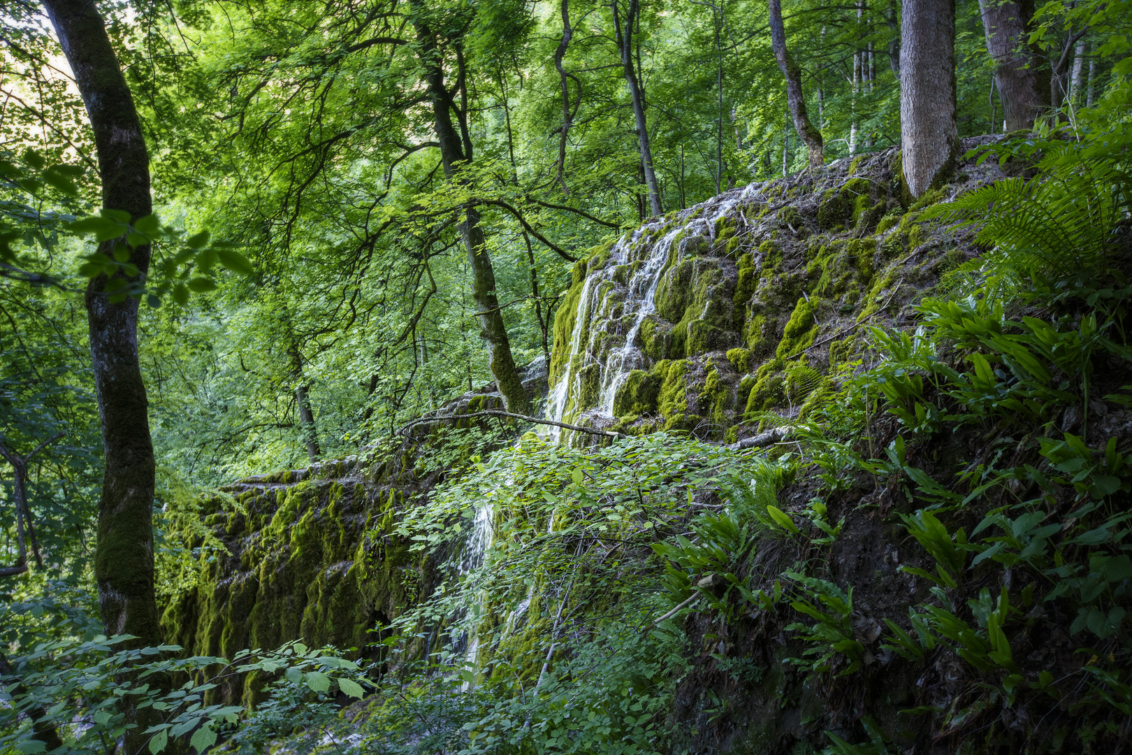 Gütersteiner Wasserfall