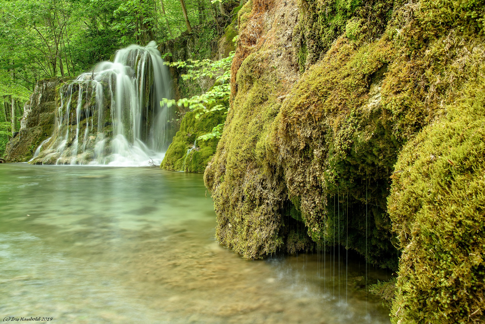 Gütersteiner Wasserfall im Mai