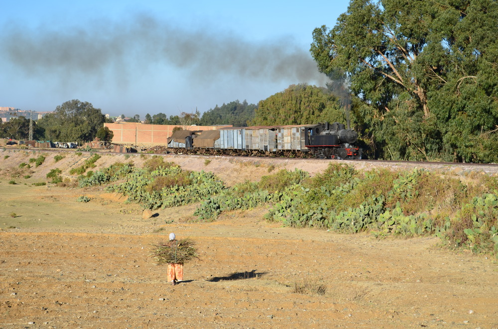 Gütertransport in Eritrea