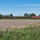 Güterumgehungsbahn Hannover bei Ahlten (1)