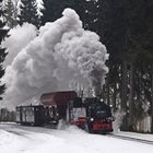 Güterverkehr auf der Fichtelbergbahn