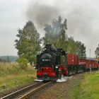 Güterverkehr auf schmaler Spur 3