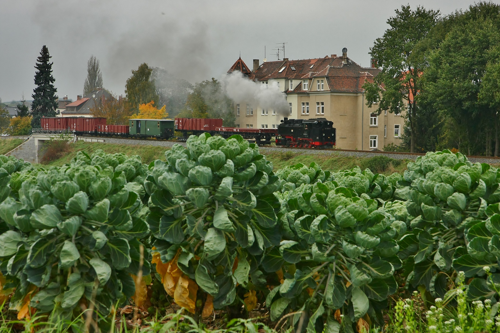 Güterverkehr auf schmaler Spur 6