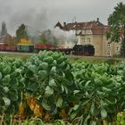 Güterverkehr auf schmaler Spur 6