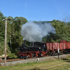 Güterverkehr im Preßnitztal