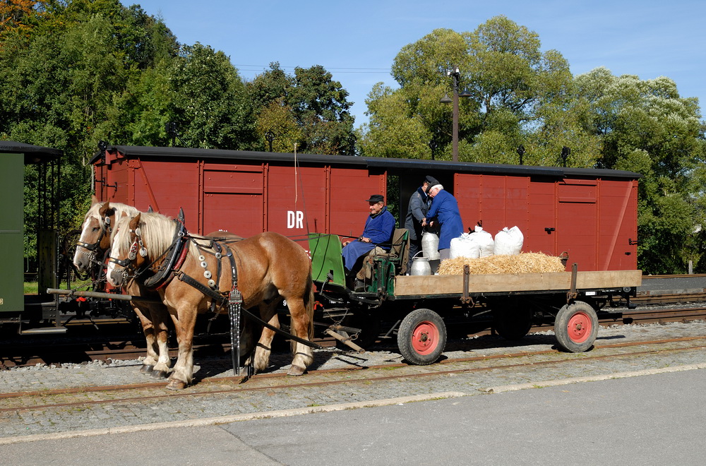 Güterverkehr im Preßnitztal