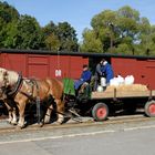 Güterverkehr im Preßnitztal