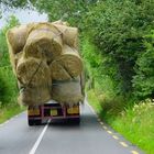 Güterverkehr in Irland...