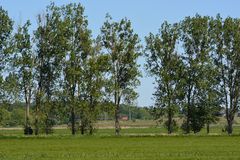 Güterverkehr in Märkischer Heide