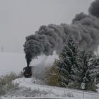 Güterzug 48483 Linz Stahlwerke - Jesenice