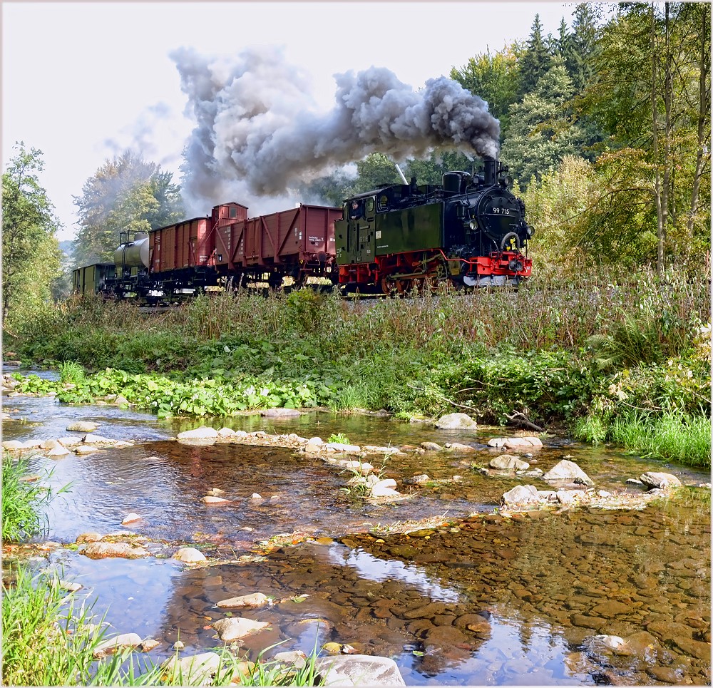 Güterzug auf Schmalspur