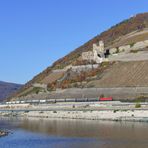 Güterzug bei Assmannshausen