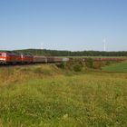 Güterzug bei Grobau