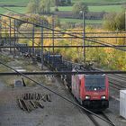 Güterzug bei Hombourg-Montzen (B)