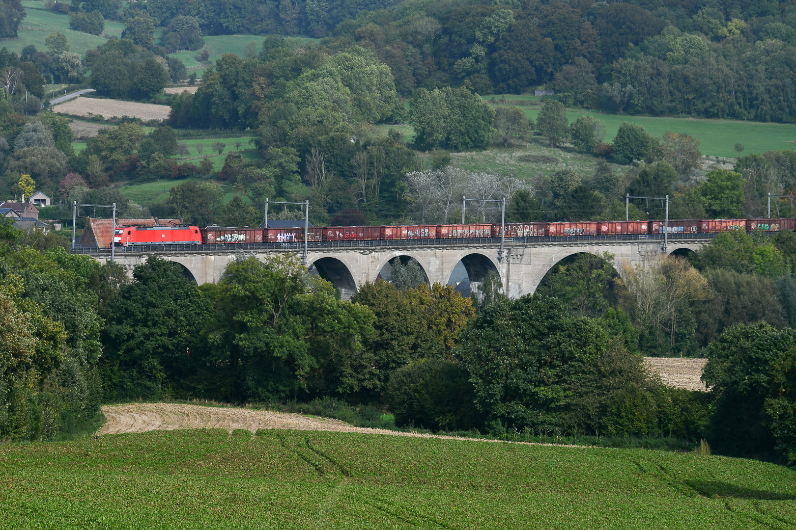 Güterzug bei Sint-Martensvoeren (B)