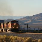 Güterzug der BNSF bei Mojave