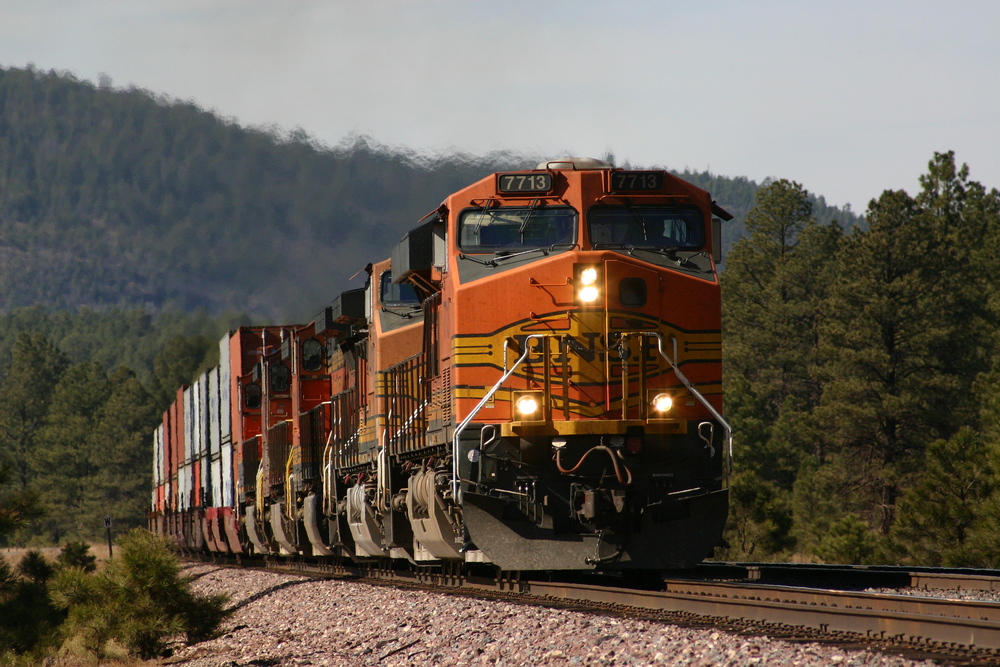 Güterzug der BNSF bei Williams