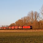 Güterzug im Abendlicht