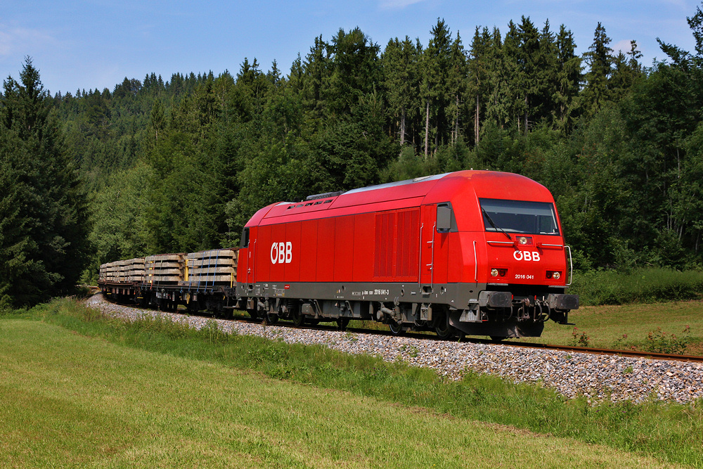 Güterzug im Allgäu