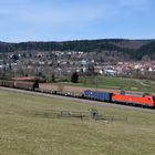 Güterzug im Donautal ...