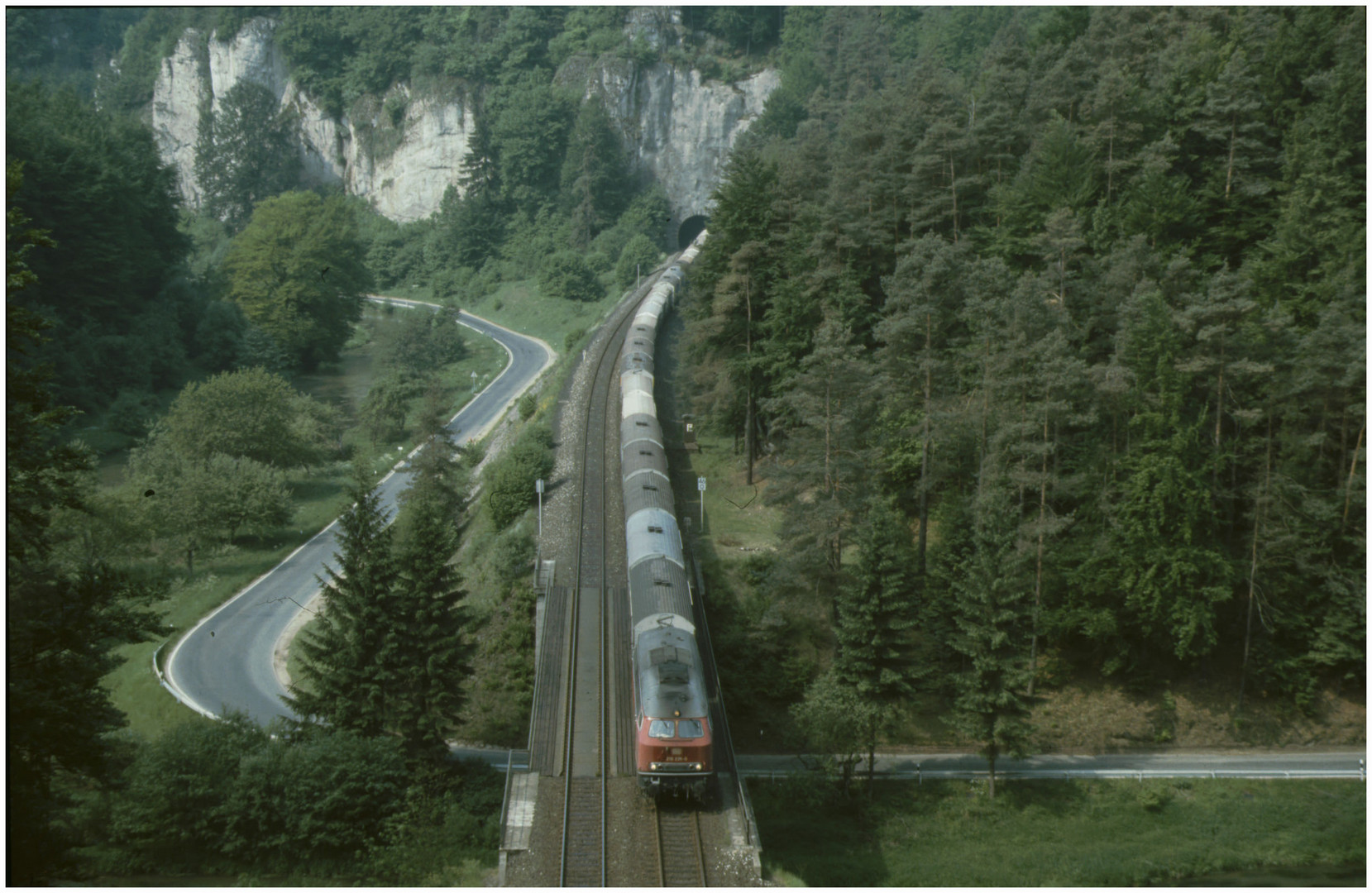 Güterzug im Pegnitztal