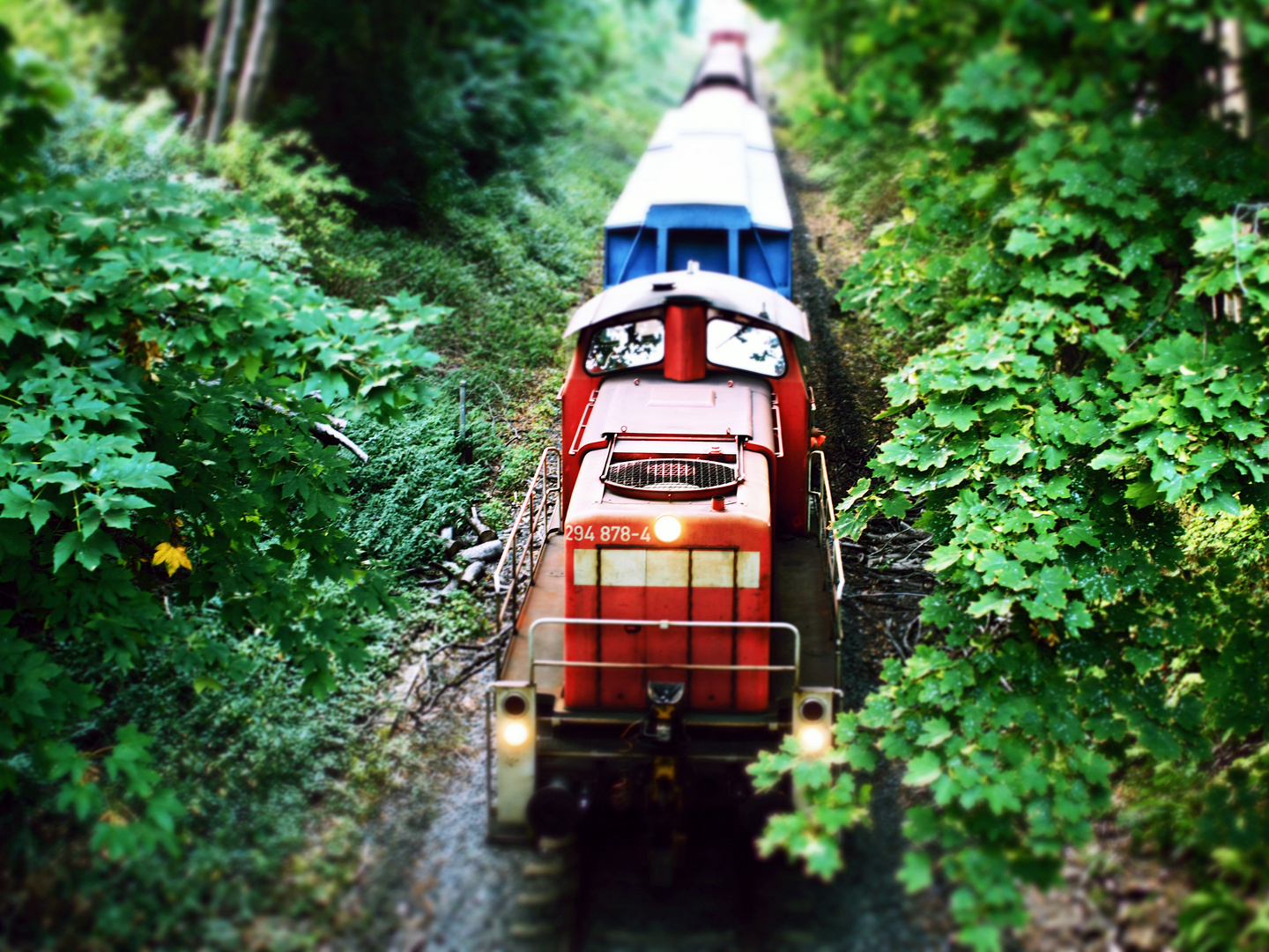 Güterzug im Wald